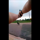 This Aug. 3, 2019 photo from police body camera video from the Colorado Springs, Colo., Police Department shows De’Von Bailey, 19, falling as he is hit by gunfire. A police official said Friday, Aug. 16, 2019, that two Colorado Springs Police Department officers Sgt. Alan Van’t Land and Officer Blake Evenson who were put on leave after shooting Bailey as he ran away from them have returned to active duty.